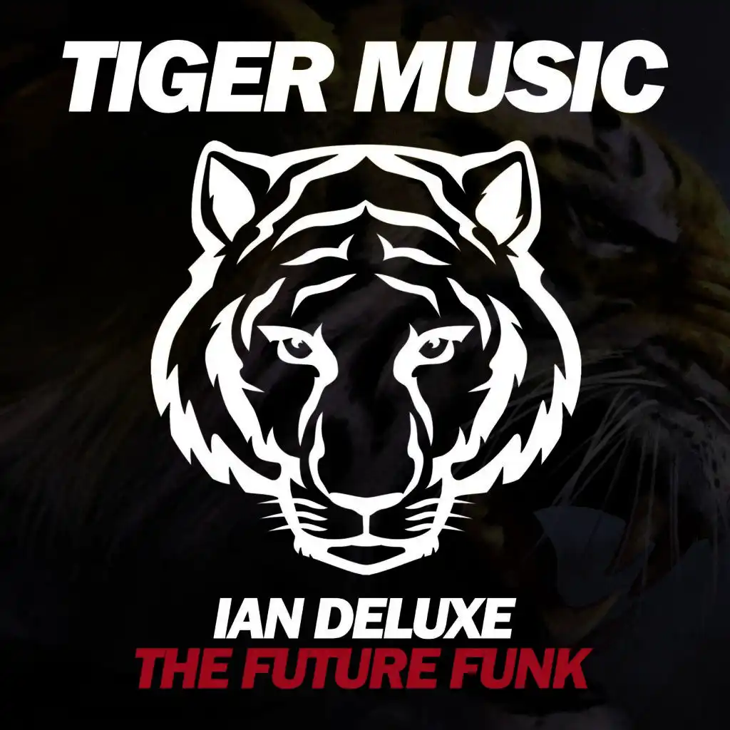 The Future Funk (Original Mix)