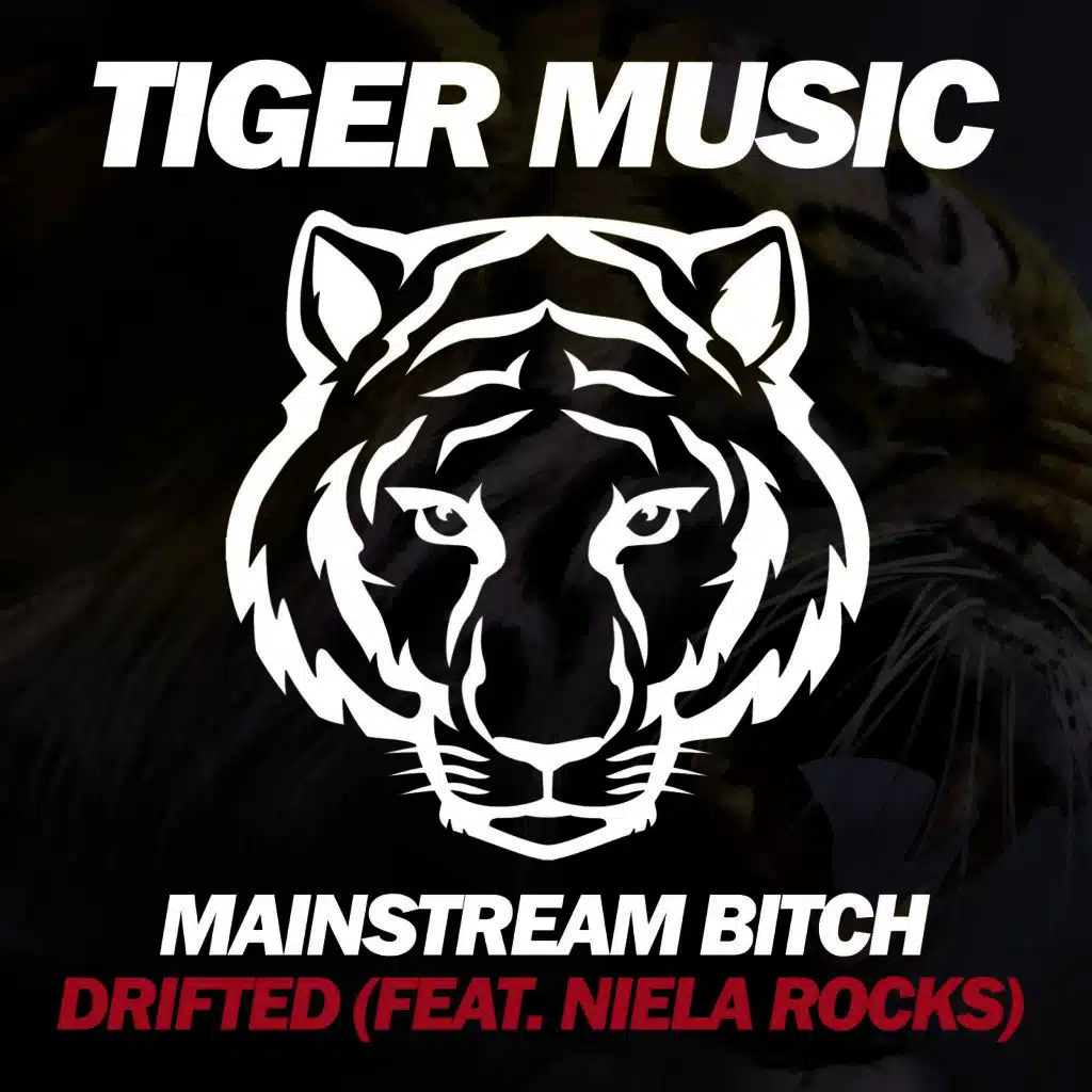 Drifted (DJ Dnk Remix) [ft. Niela Rocks]