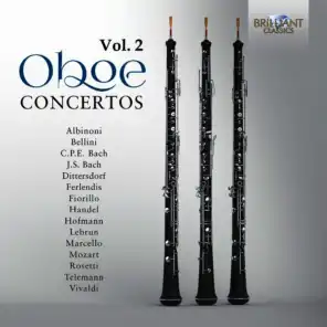 Concerto for 3 Oboes, 3 Violins and Continuo in B-Flat Major, TWV 44:3: I. Allegro