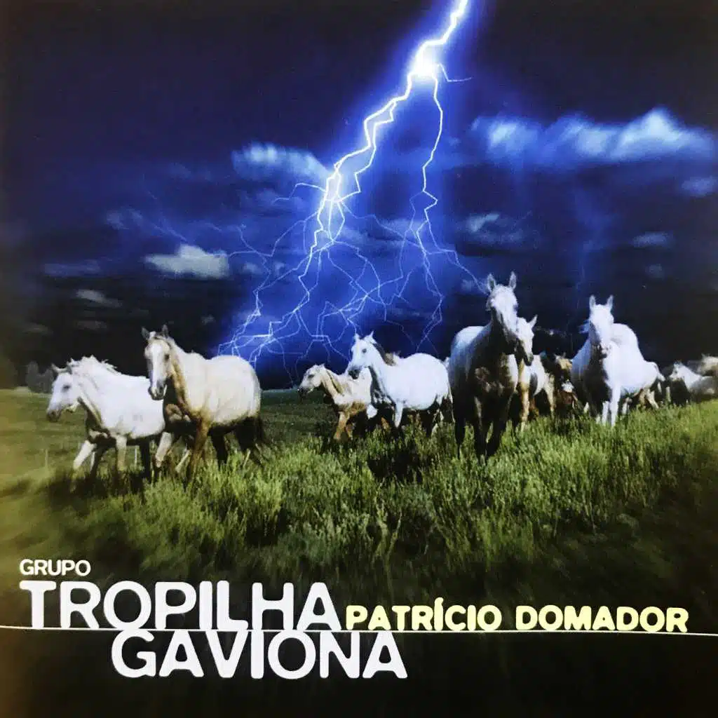Grupo Tropilha Gaviona