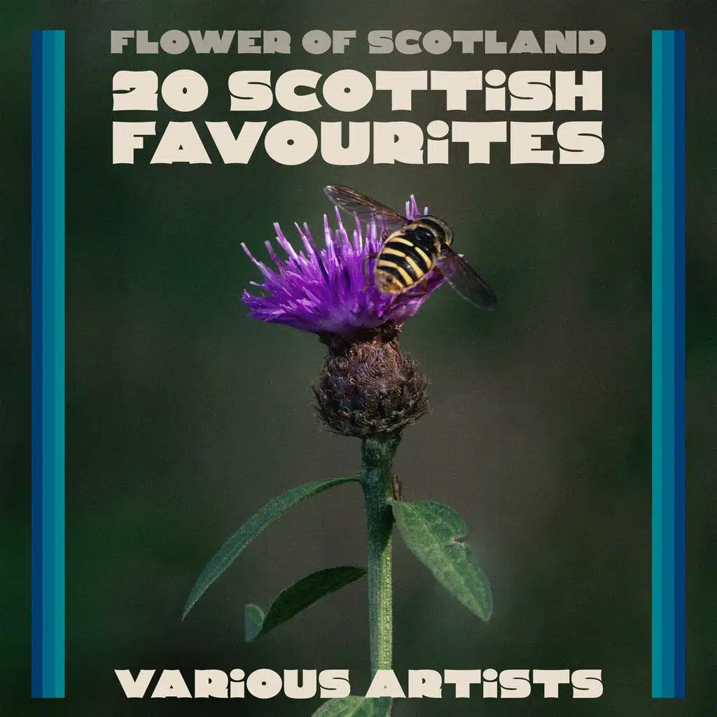 Flower of Scotland – 20 Scottish Favourites