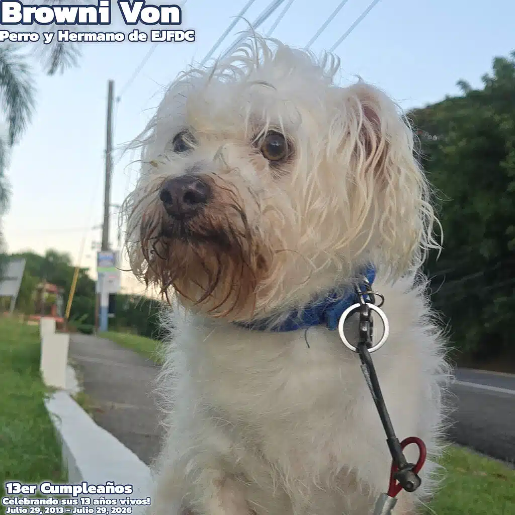 Browni Von