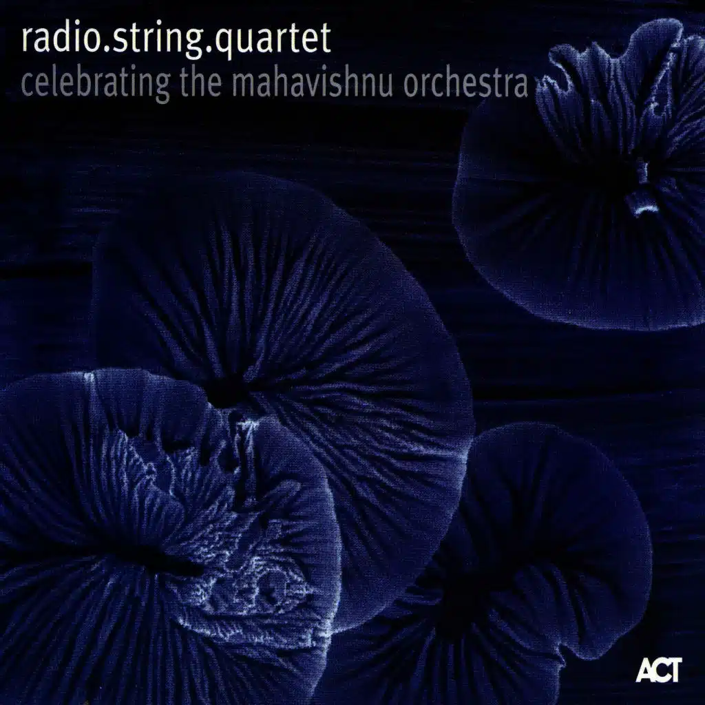 Celebrating the Mahavishnu Orchestra