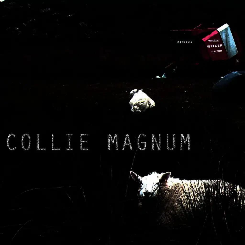 Collie Magnum EP