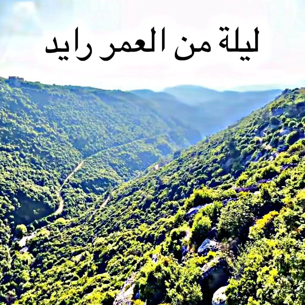 ليلة من العمر رايد