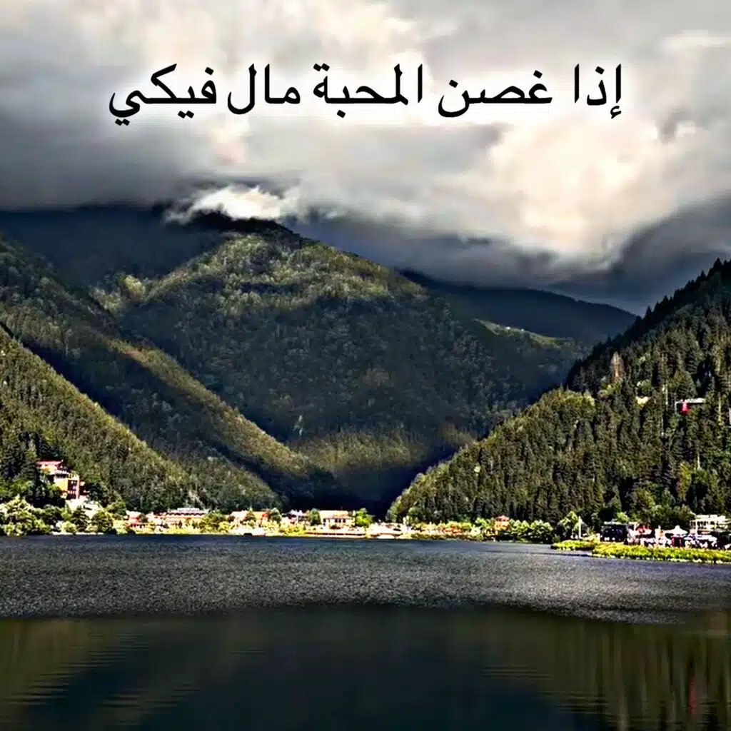 اذا غصن المحبة مال فيكي
