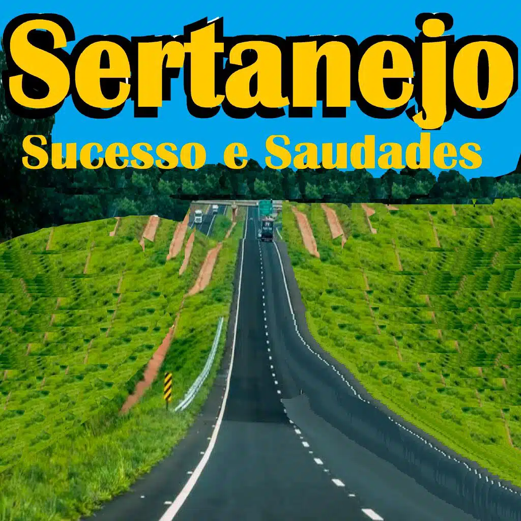 Sertanejo Sucesso e Saudades