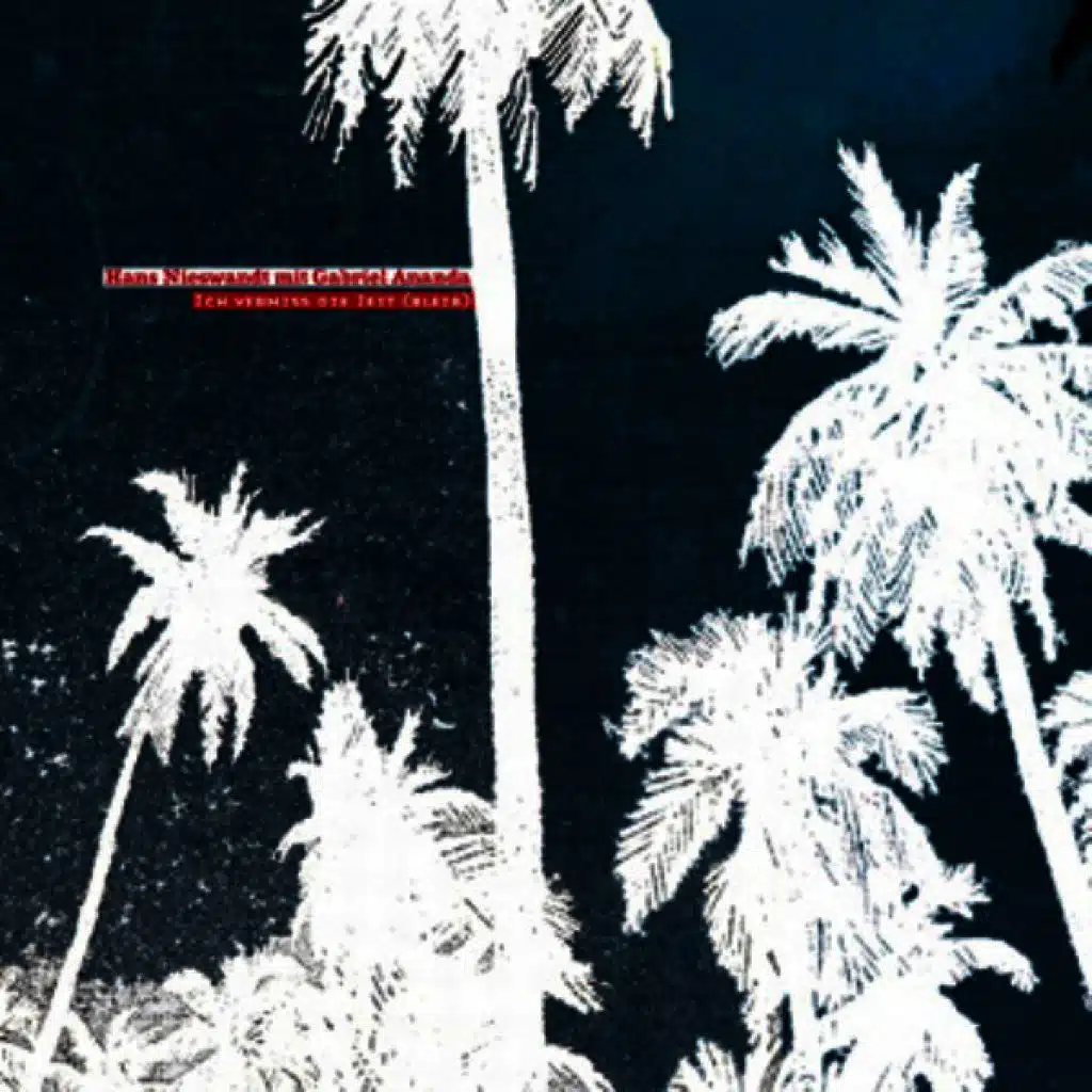 Ich Vermiss die Zeit