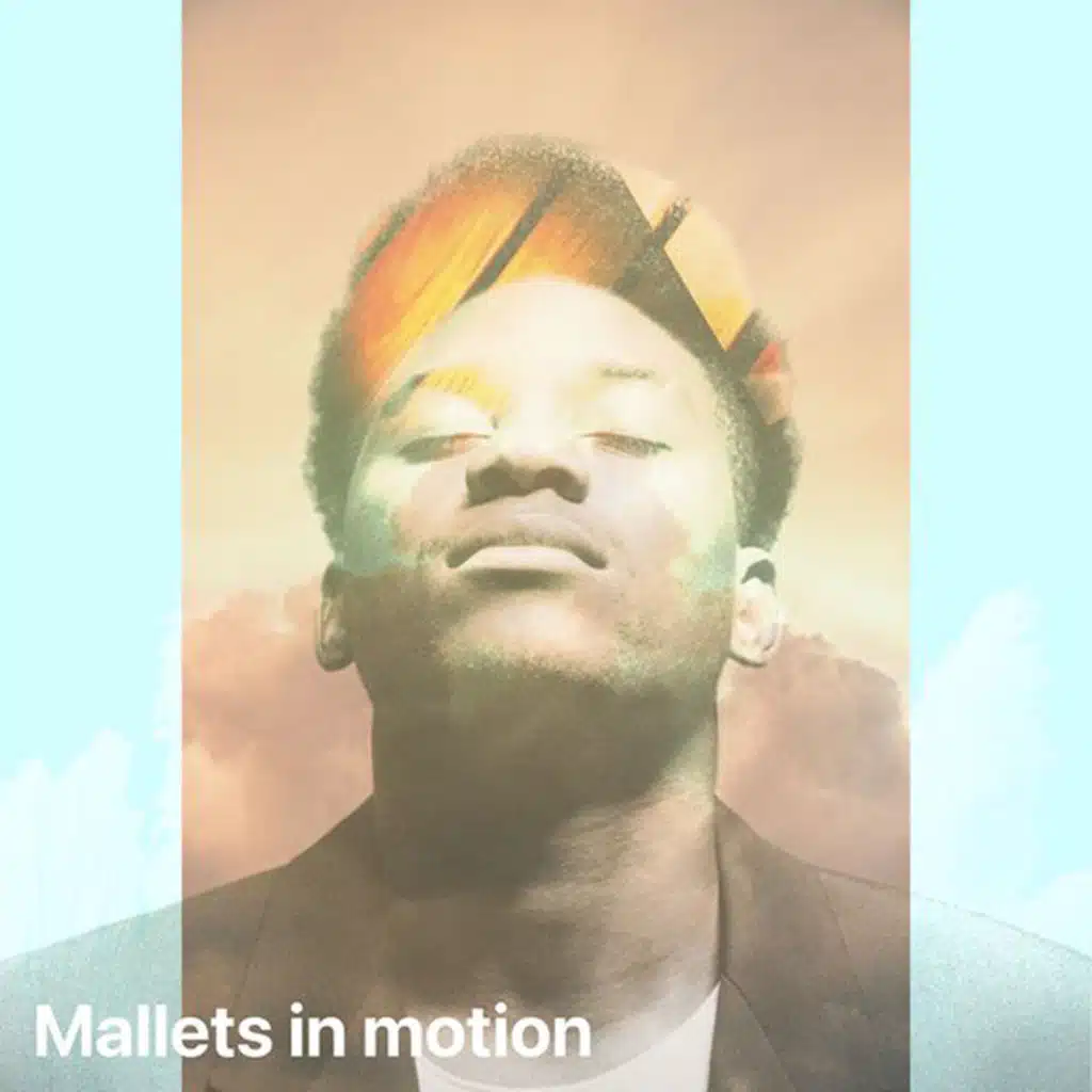 Mallets in Motion