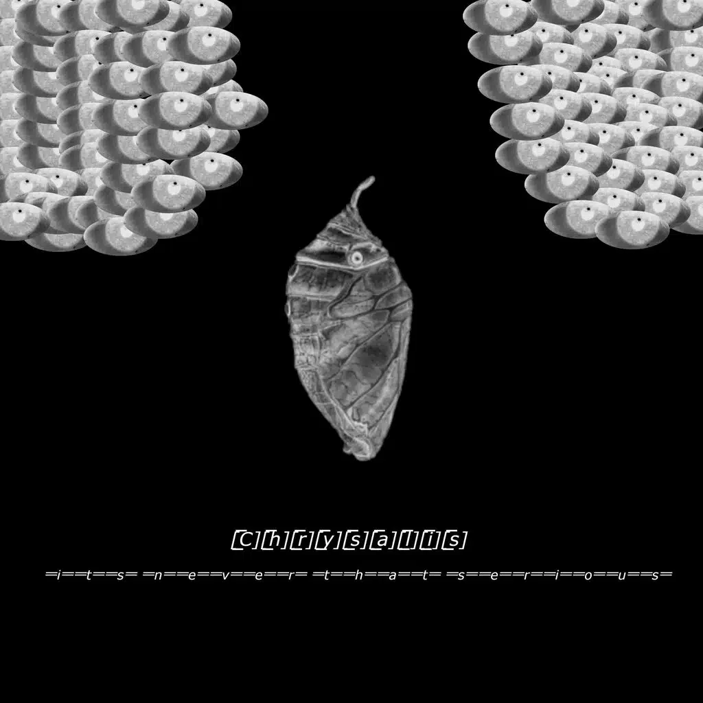 CHRYSALIS
