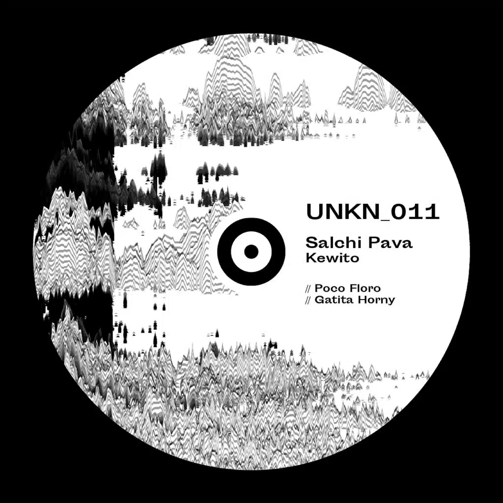 [UNKN_11] Salchi Pava