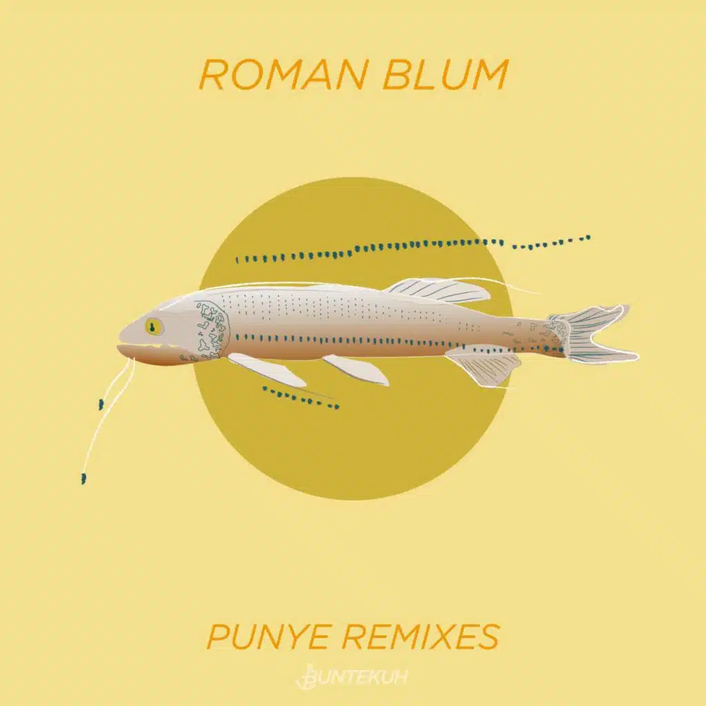 Punye Remixes