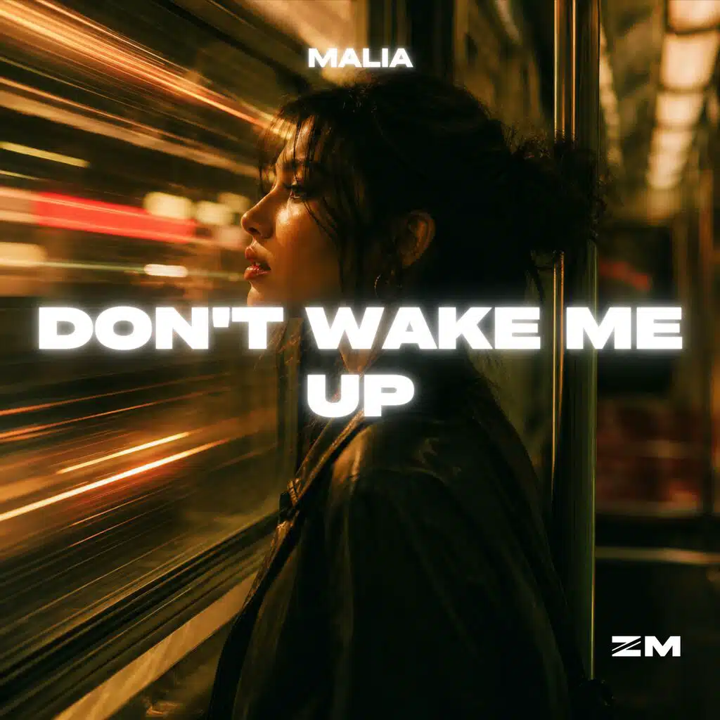Don't Wake Me Up