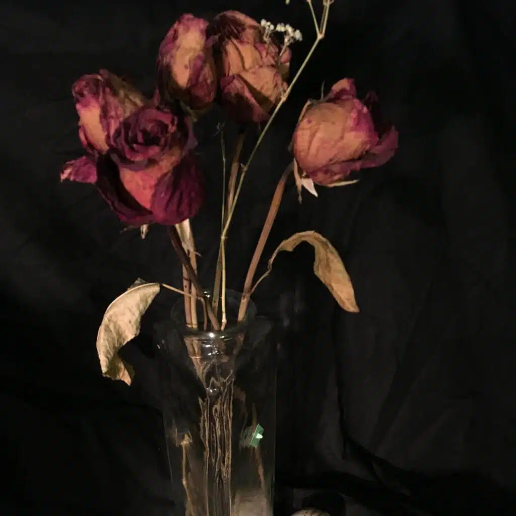 Dead Roses
