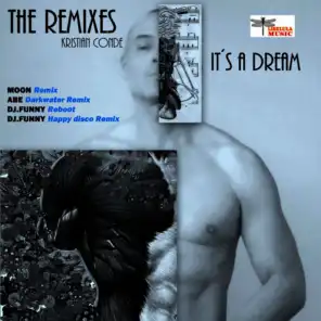 It's a Dream (Abe Darkwater Radio Remix)
