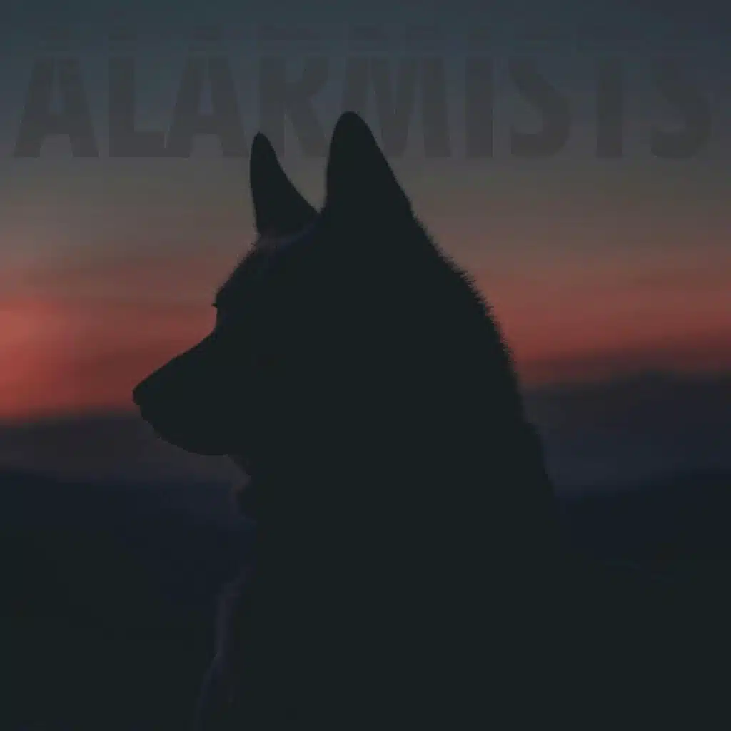 Wolves/Canaries