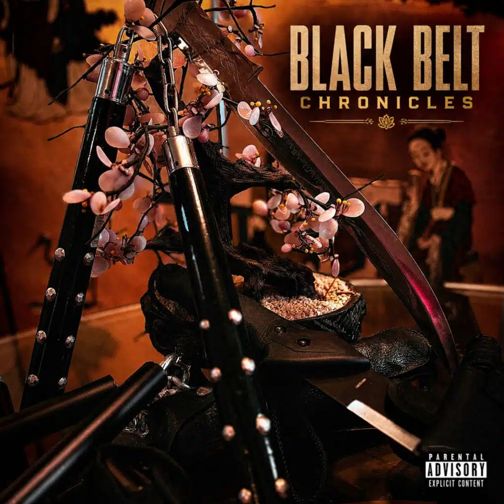 Black Belt Chronicles