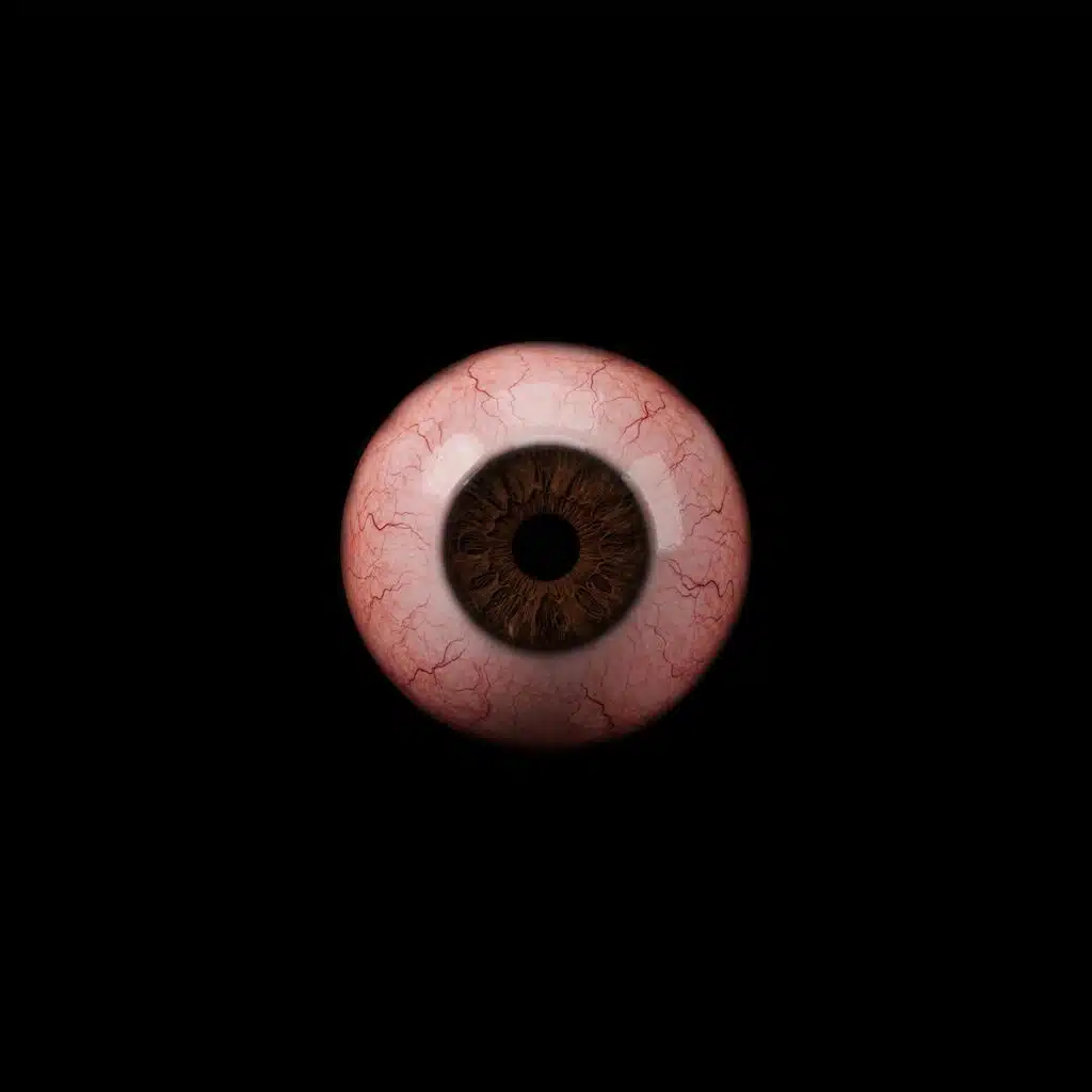 Retina