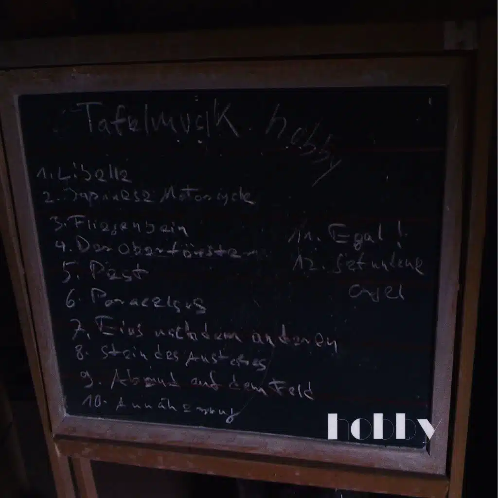 Fliegenbein (Instrumental)