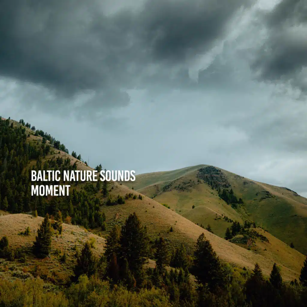 Moment