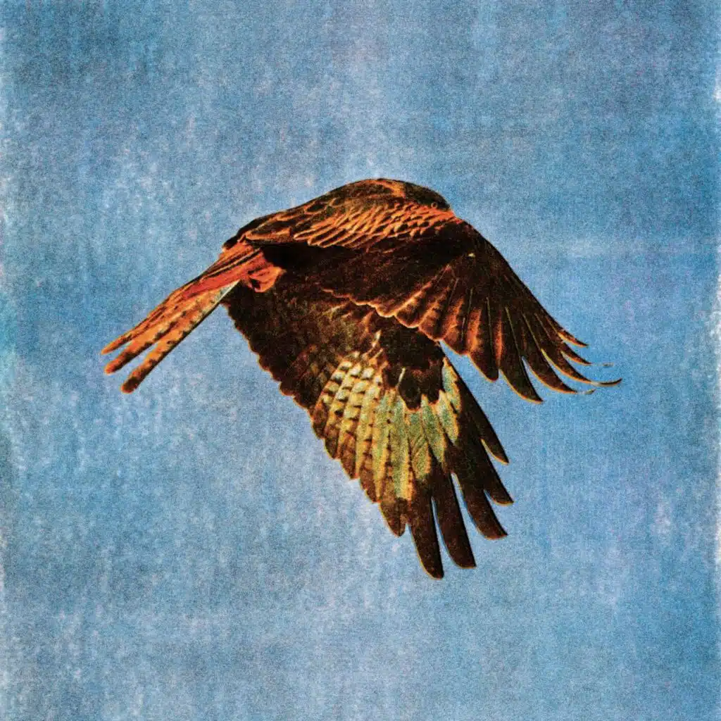 Woke Up with a Knife