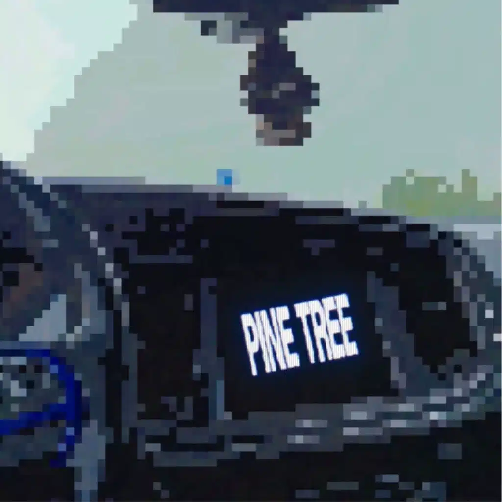 pine tree (extended)