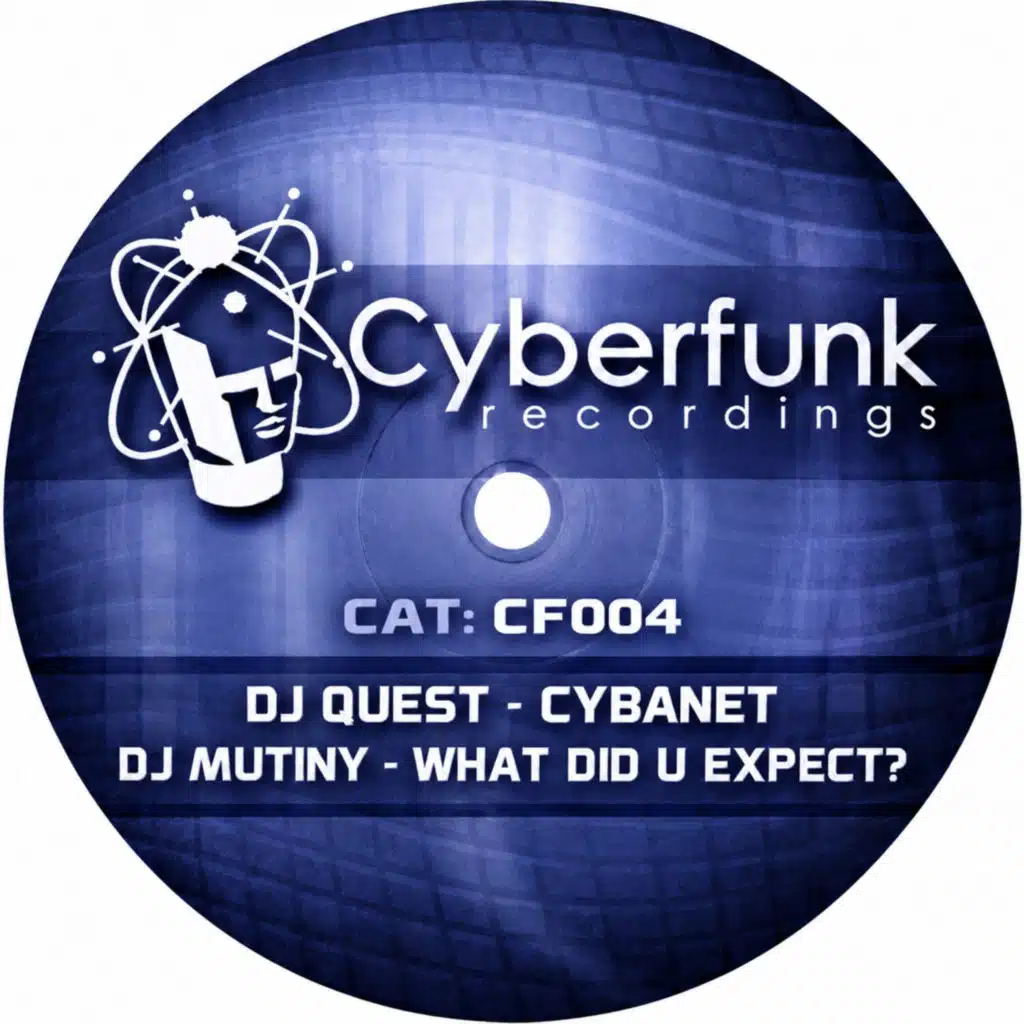 Cybanet / What Did U Expect?