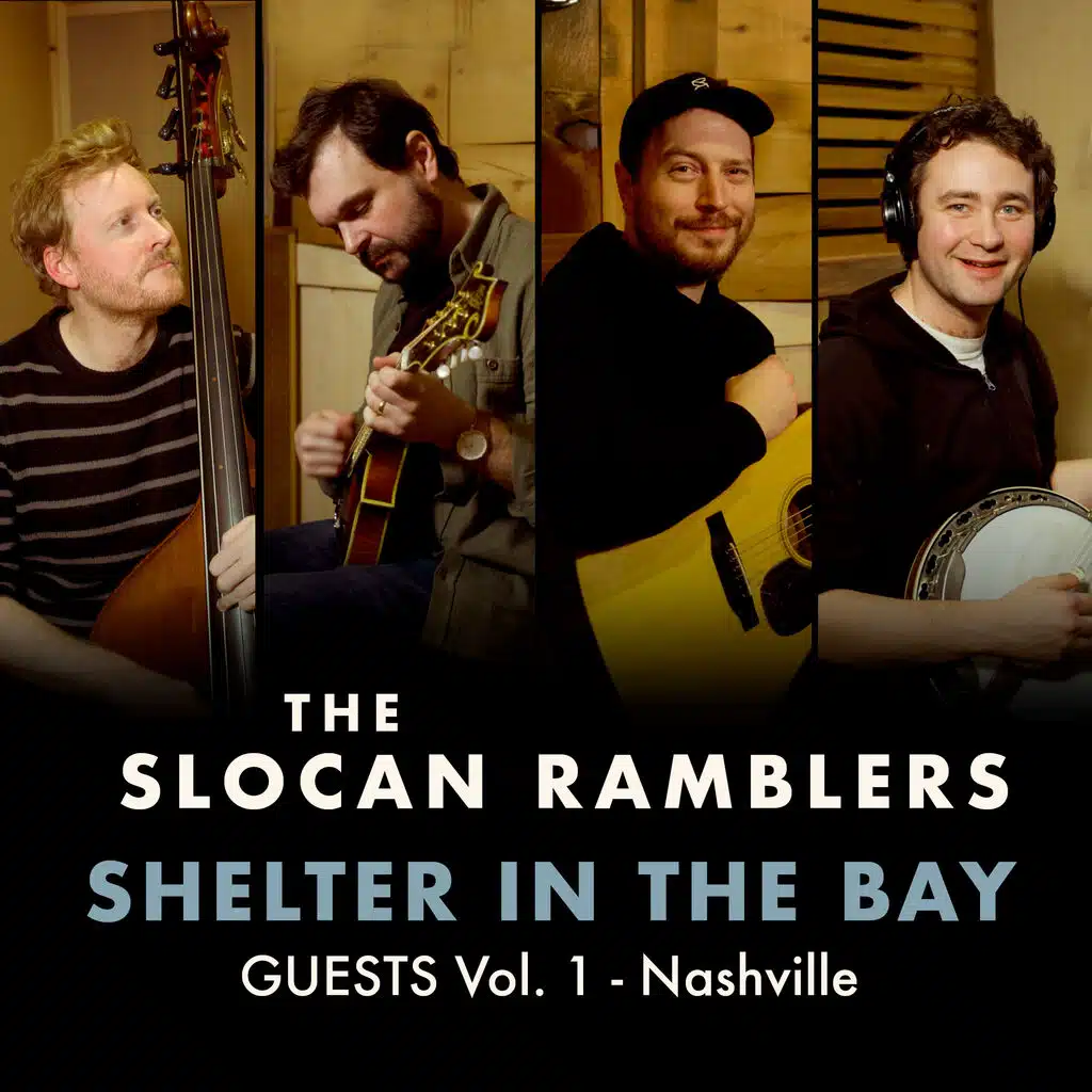 Shelter in the Bay