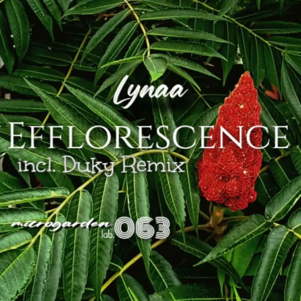 Efflorescence EP