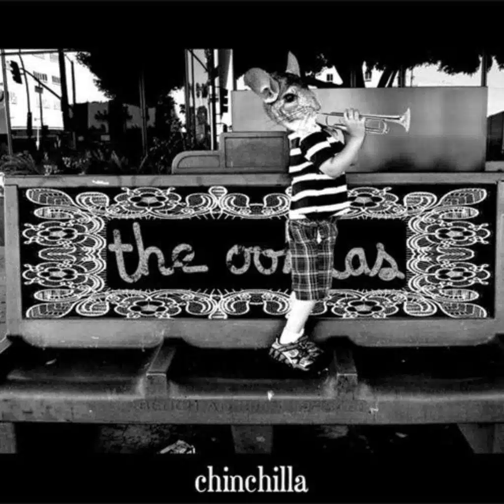 Chinchilla