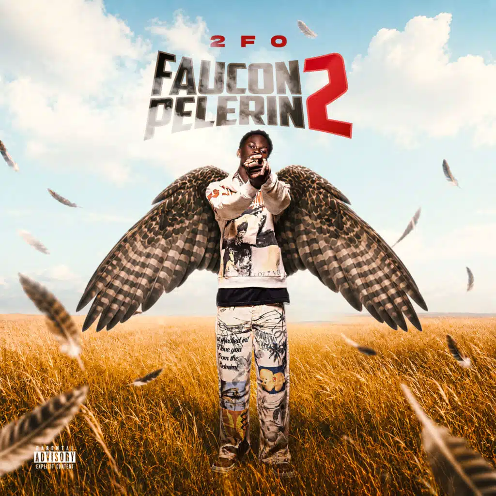 Faucon Pèlerin 2