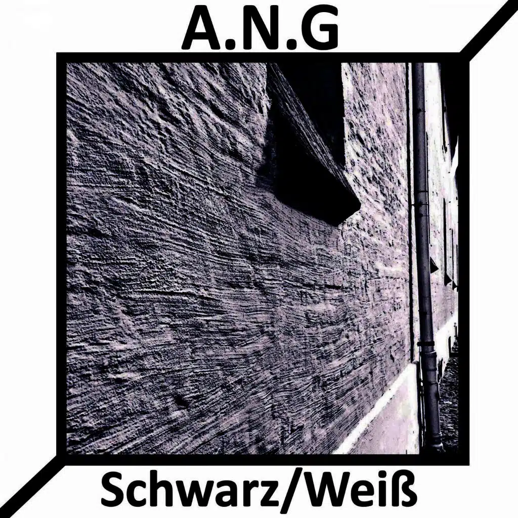 Schwarz / Weiß