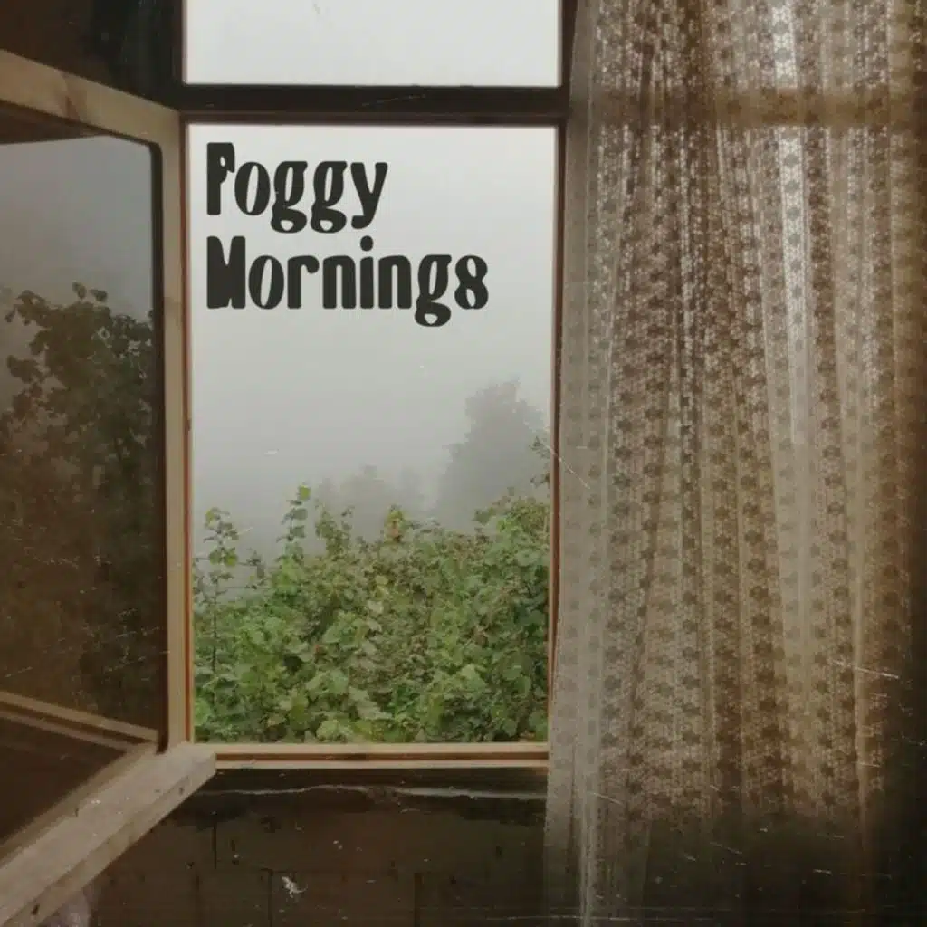 Foggy Mornings