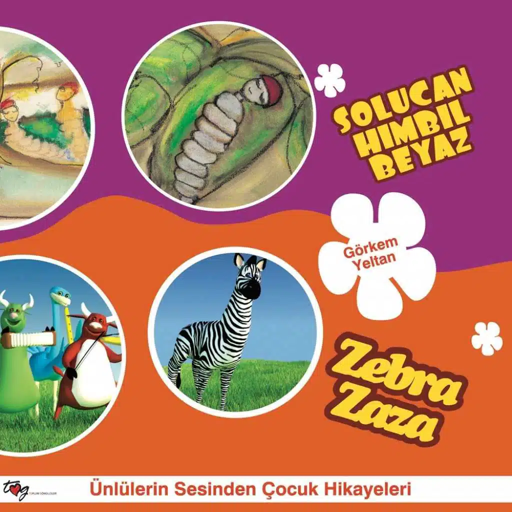 SOLUCAN HIMBIL BEYAZ / ZEBRA ZAZA