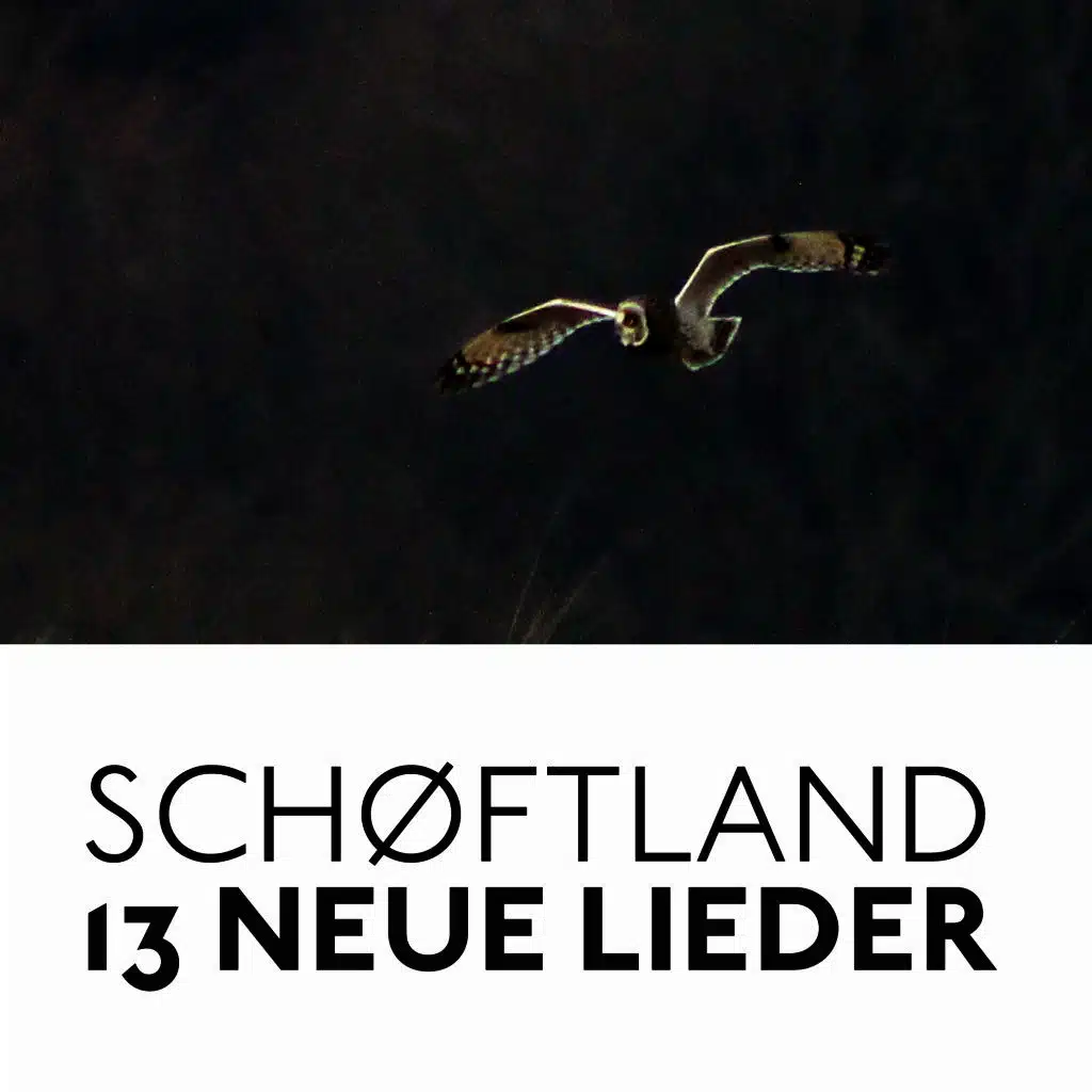 13 neue Lieder