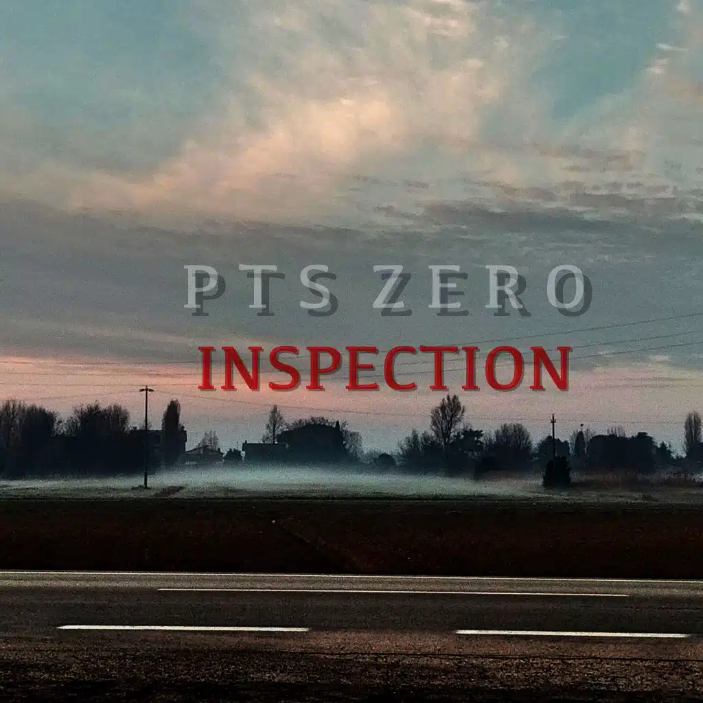 Inspection