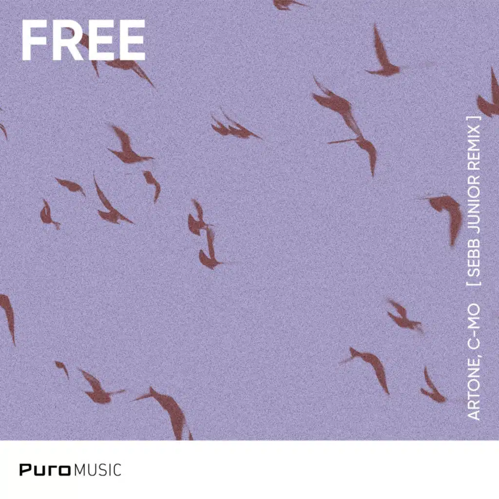 Free - (Sebb Junior Remix)