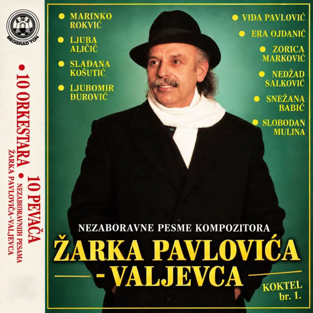 Nezaboravne pesme Zarka Pavlovica Valjevca - Koktel br. 1