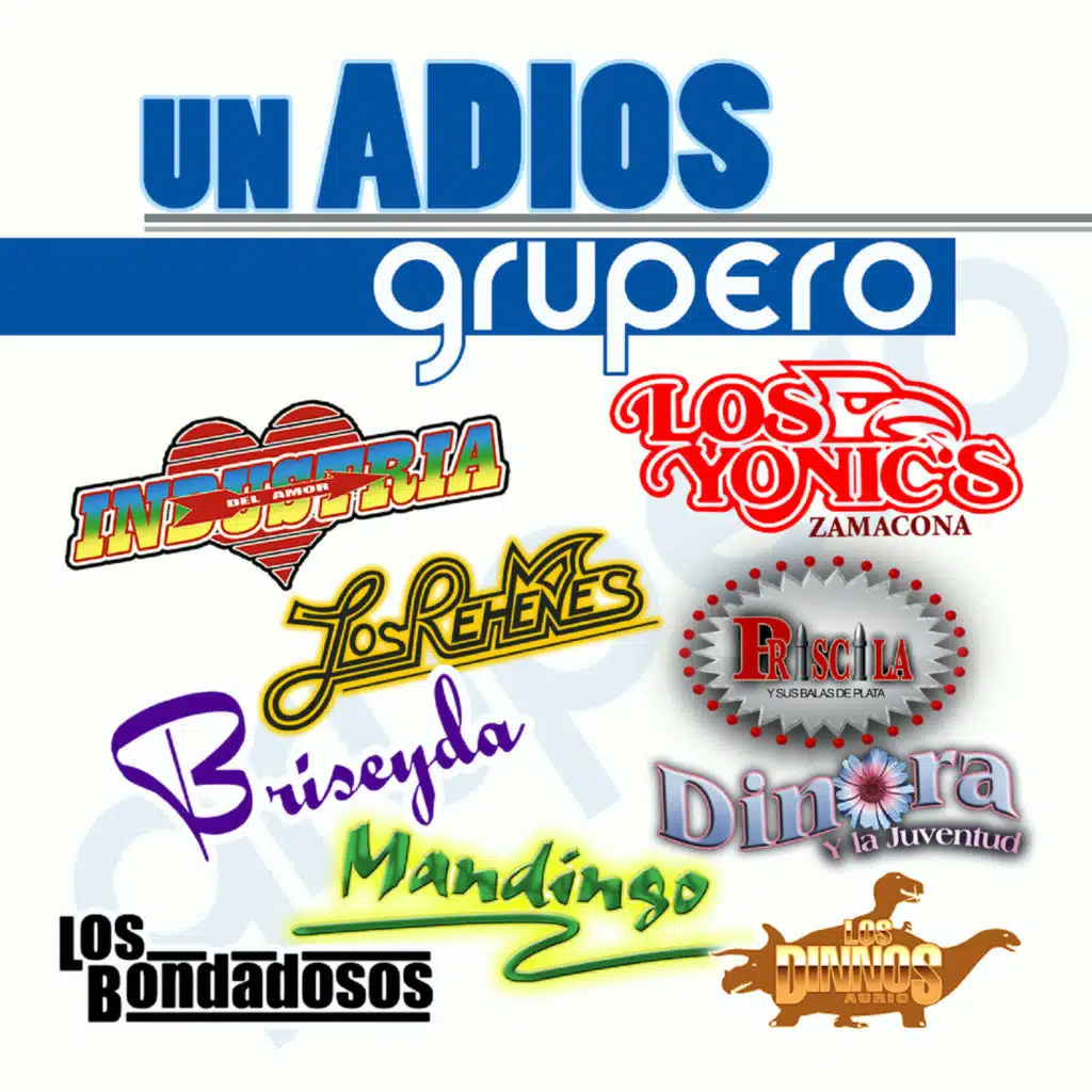 Un Adios Grupero