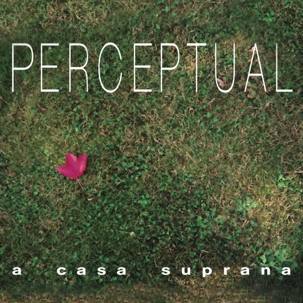 Perceptual