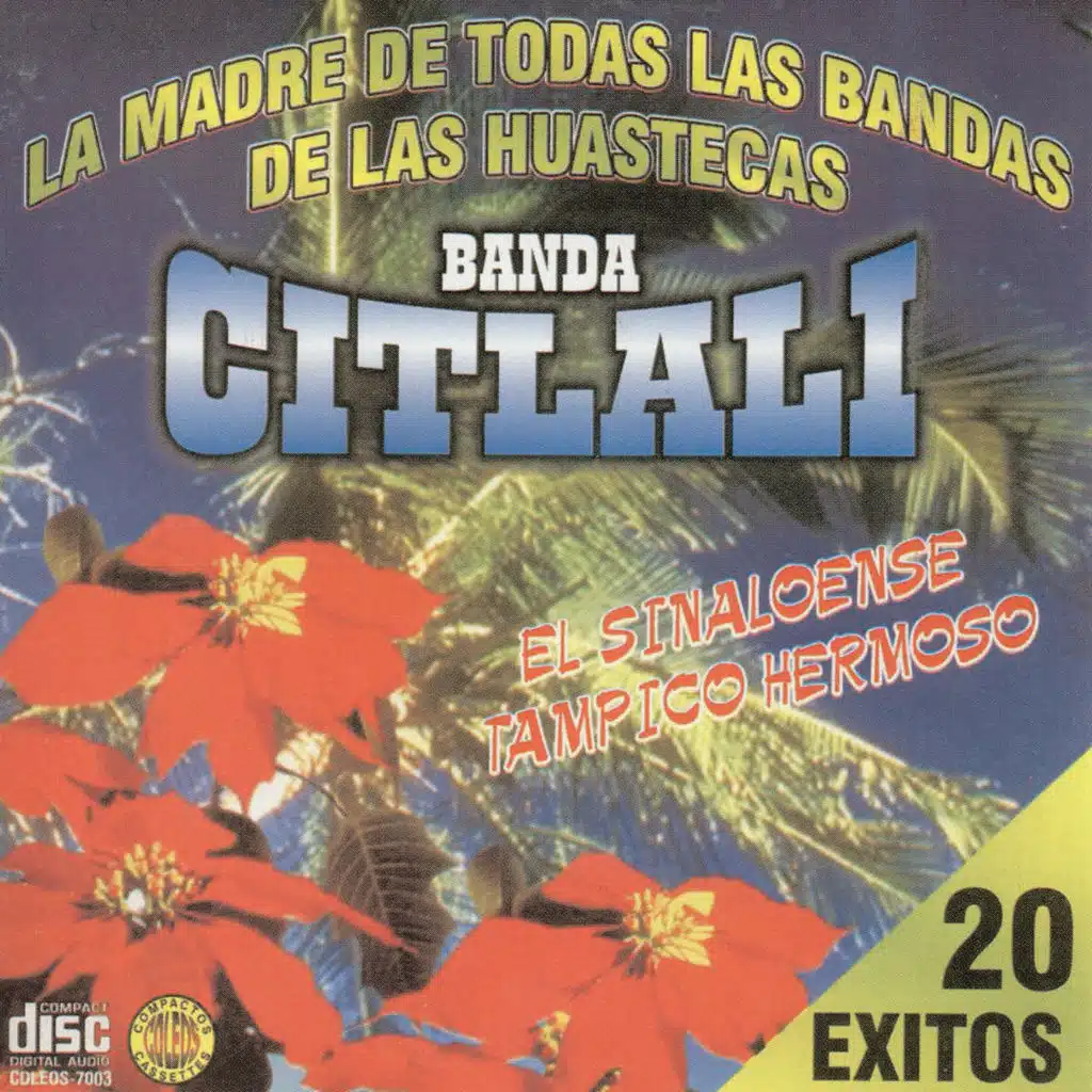 20 Exitos
