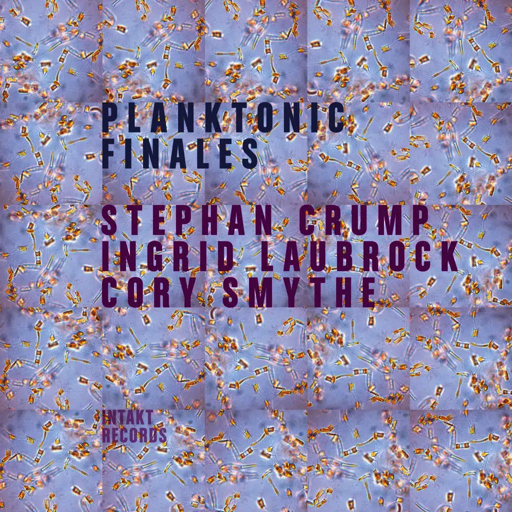 Planktonic Finales