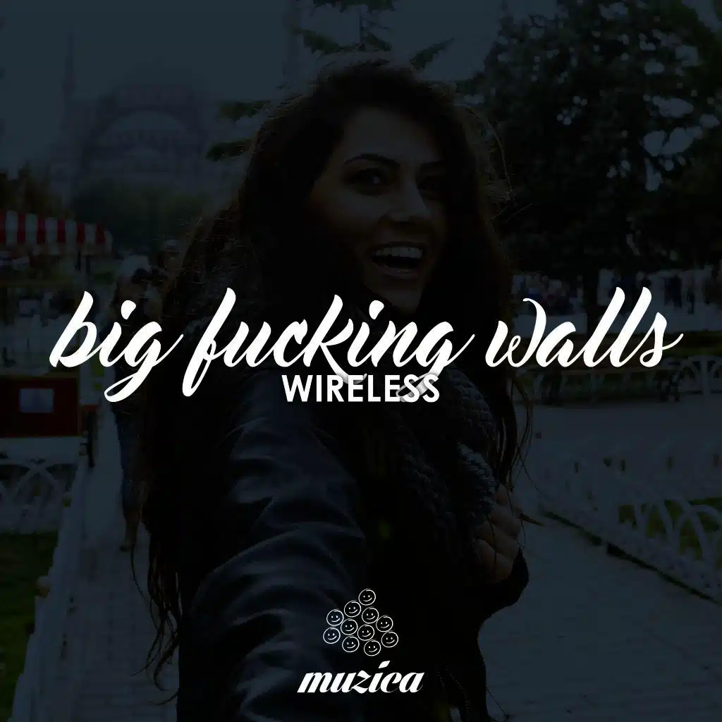 Big Fucking Walls (Radio Mix)