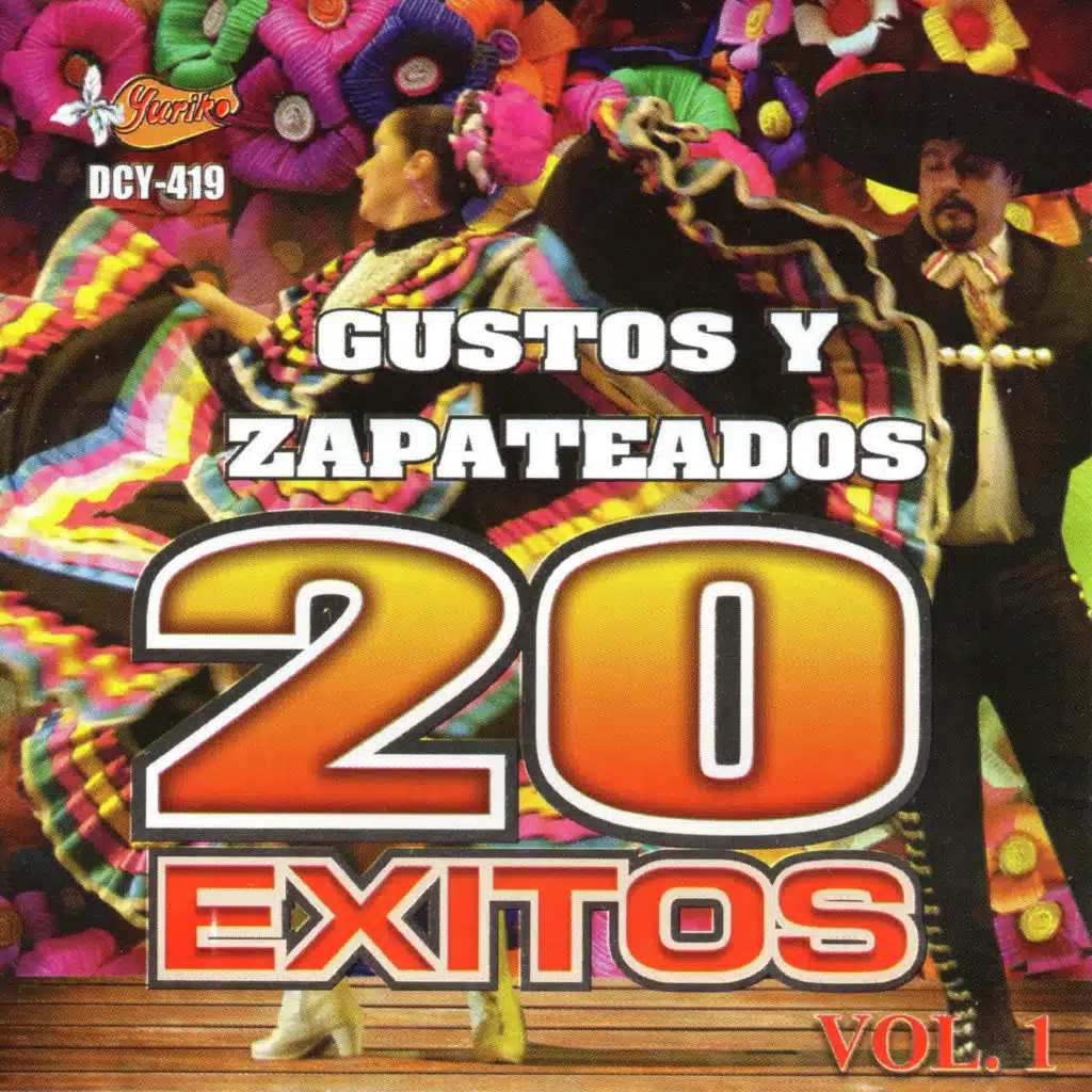 Gustos y Zapateados - 20 Exitos, Vol. 1