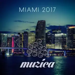 Muzica - Miami 2017