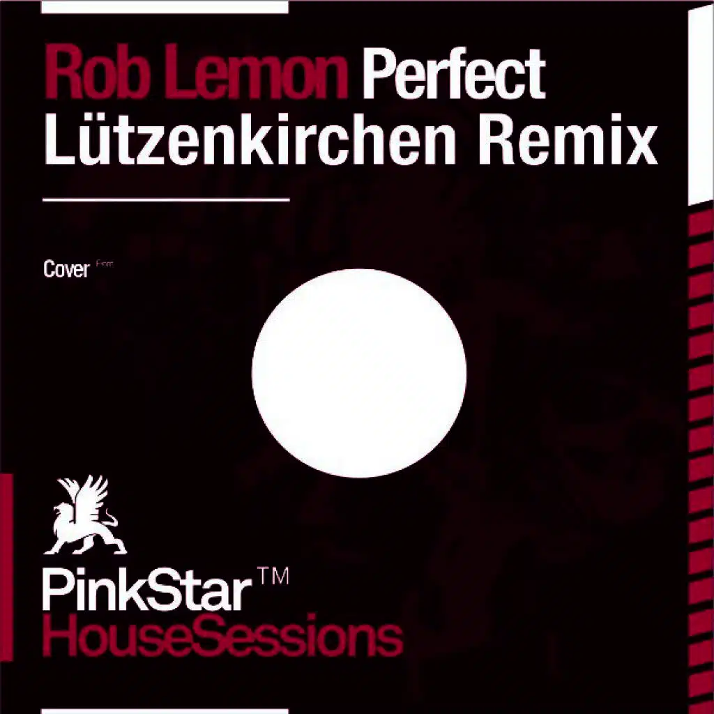 Perfect (Lützenkirchen Remix)