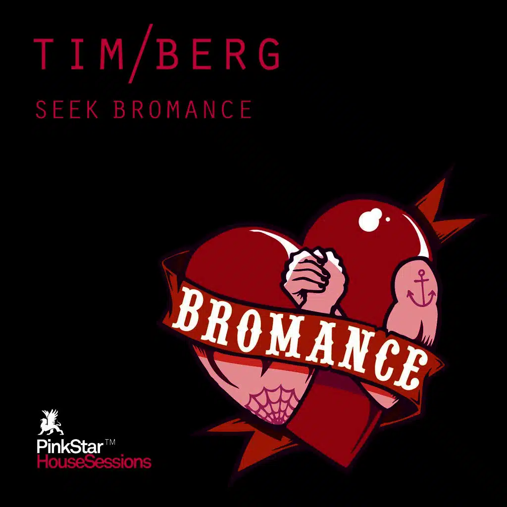 Seek Bromance (Avicii Vocal Extended)