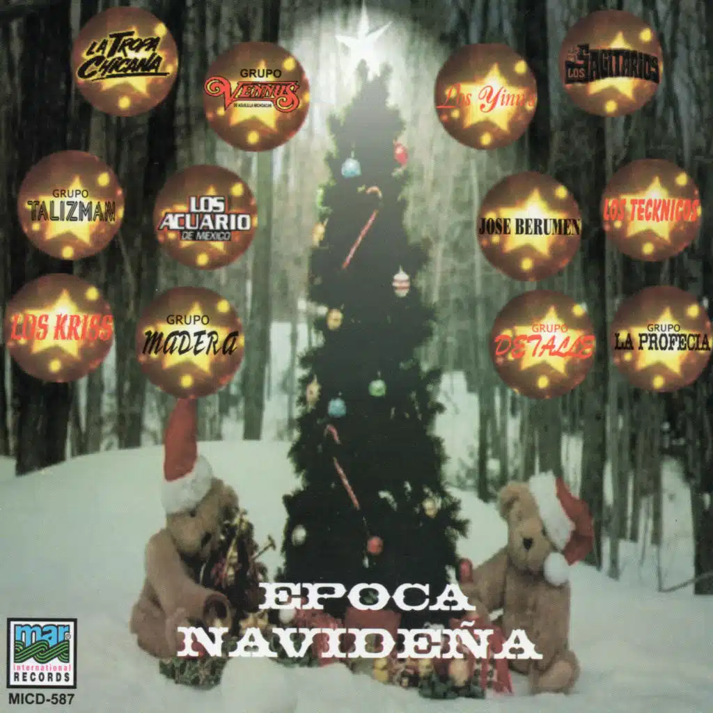 Epoca Navidena
