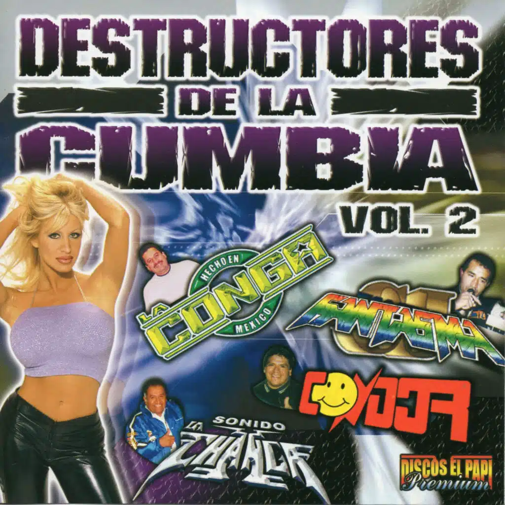 Destructores Del Cumbia, Vol. 2