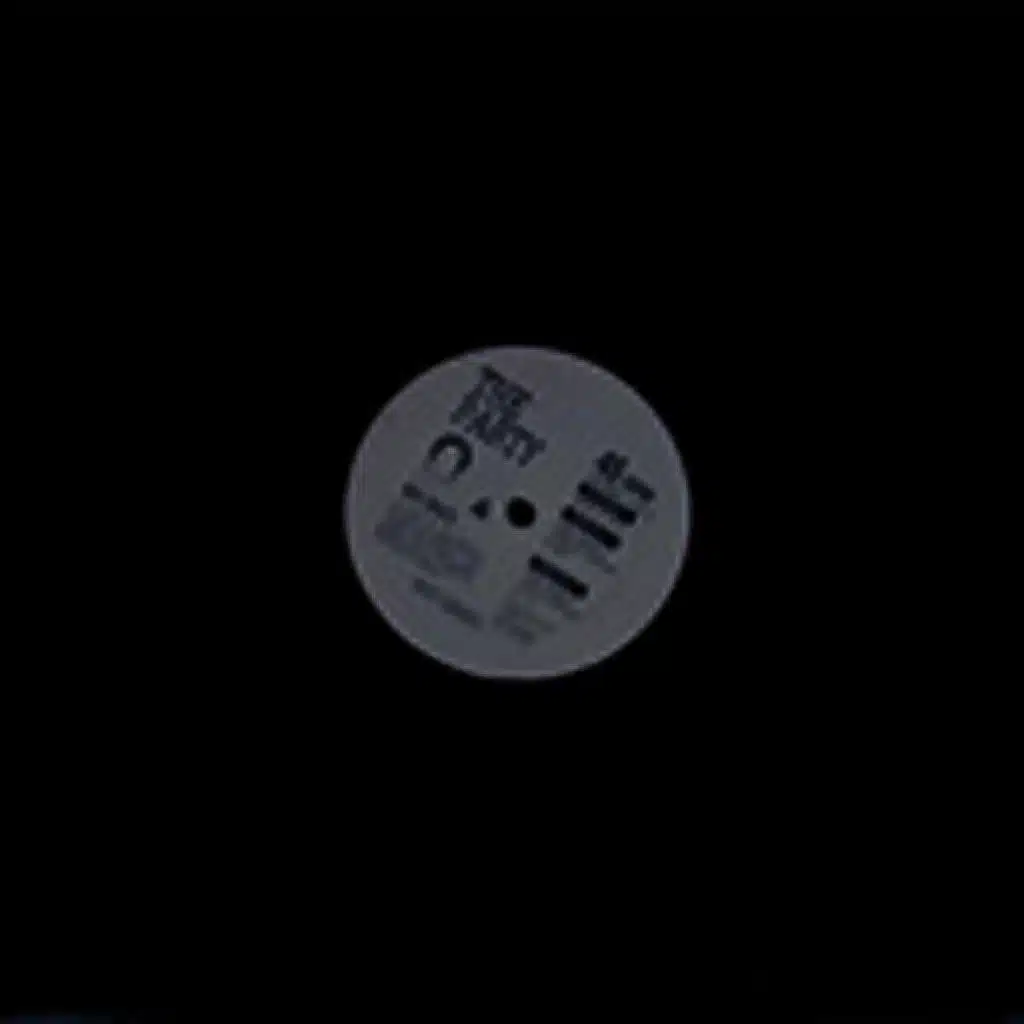 The party (Acappella)